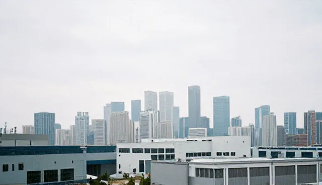 平台选择中的信息验证误区及正确使用建议