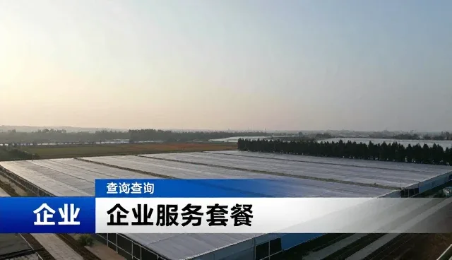 医药网站建设报价，如何精准匹配区域市场分析需求